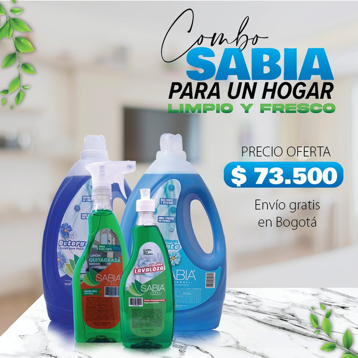 Kit de Aseo y Hogar, Detergente, Suavizante, Quitagrasa, Lavalosa