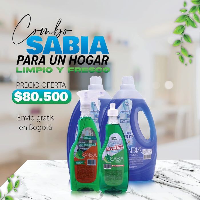 Kit de Aseo y Hogar, Detergente 2, Quitagrasa, Lavalosa