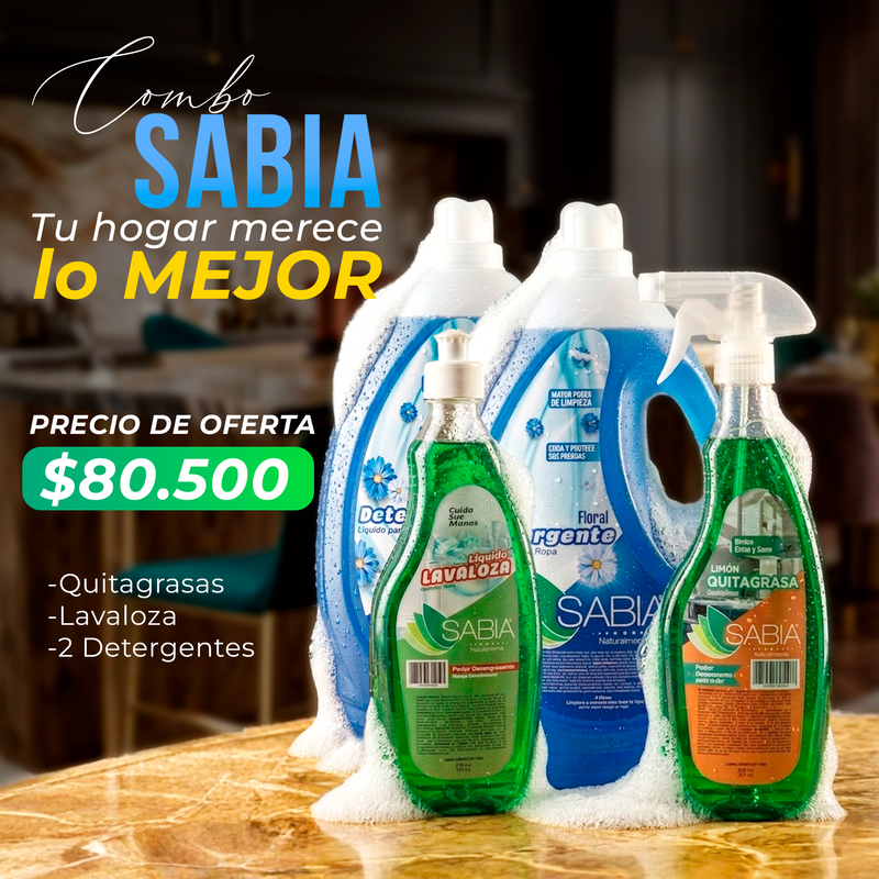 Kit de Aseo y Hogar, Detergente 2, Quitagrasa, Lavalosa