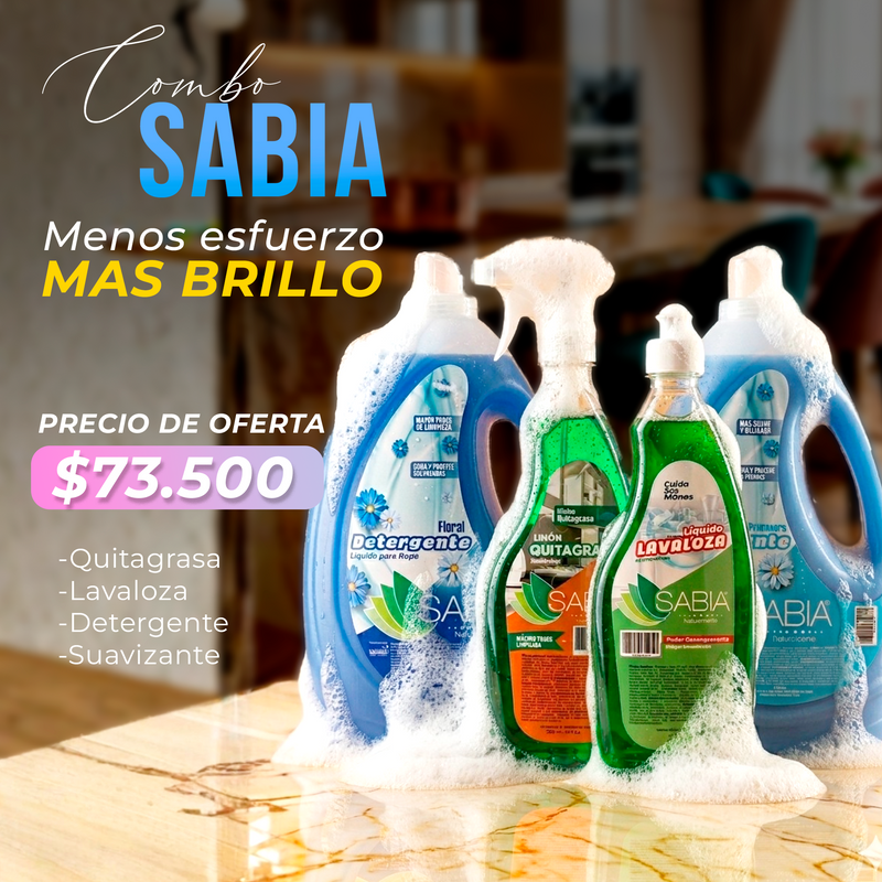 Kit de Aseo y Hogar, Detergente, Suavizante, Quitagrasa, Lavalosa