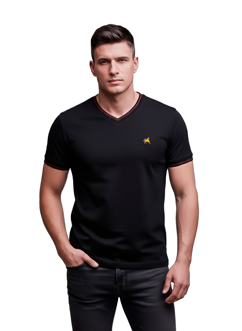 Camiseta Cuello tipo V