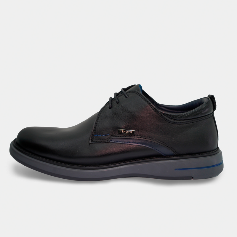 Zapatos 1031