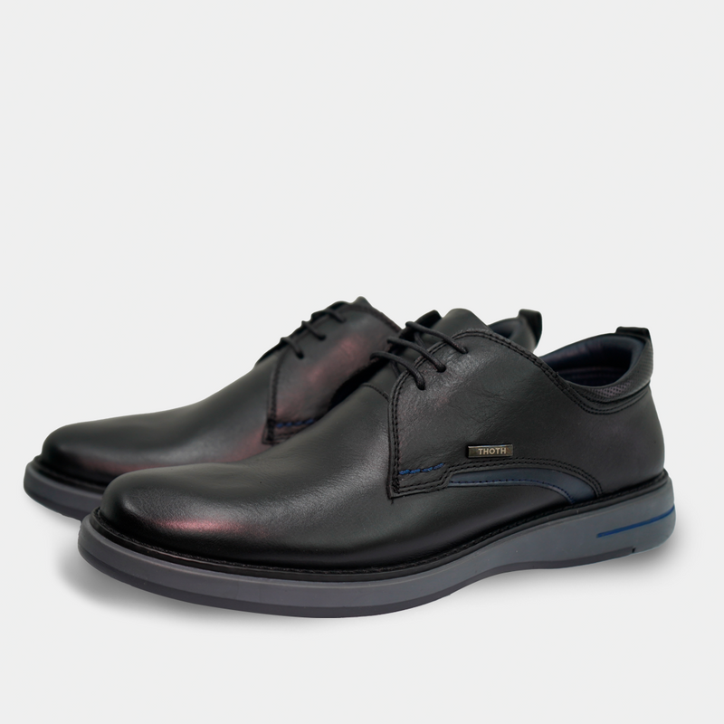 Zapatos 1031
