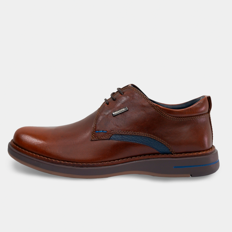 Zapatos 1031