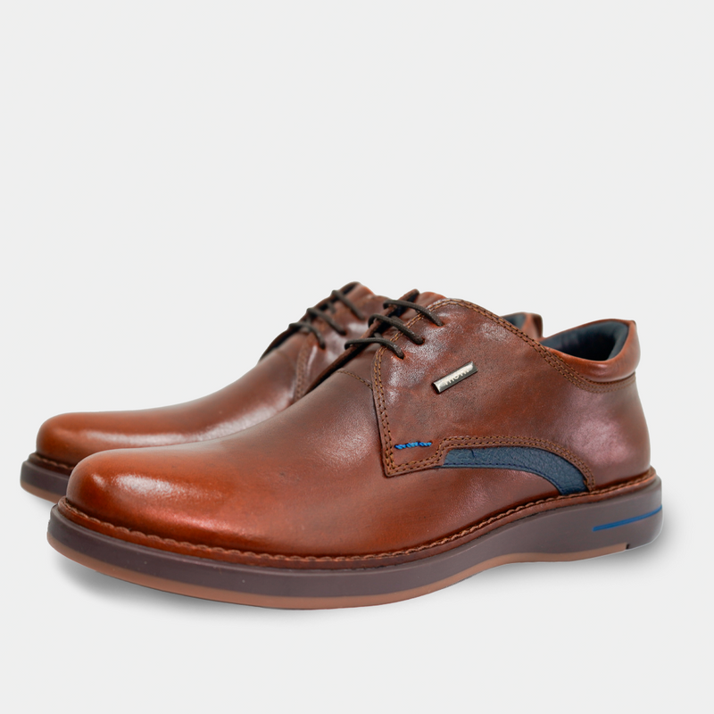 Zapatos 1031