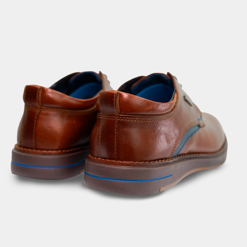 Zapatos 1031