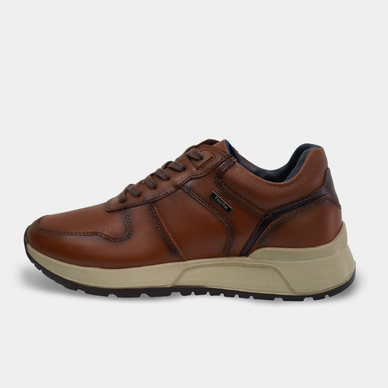 Zapatos  D-02