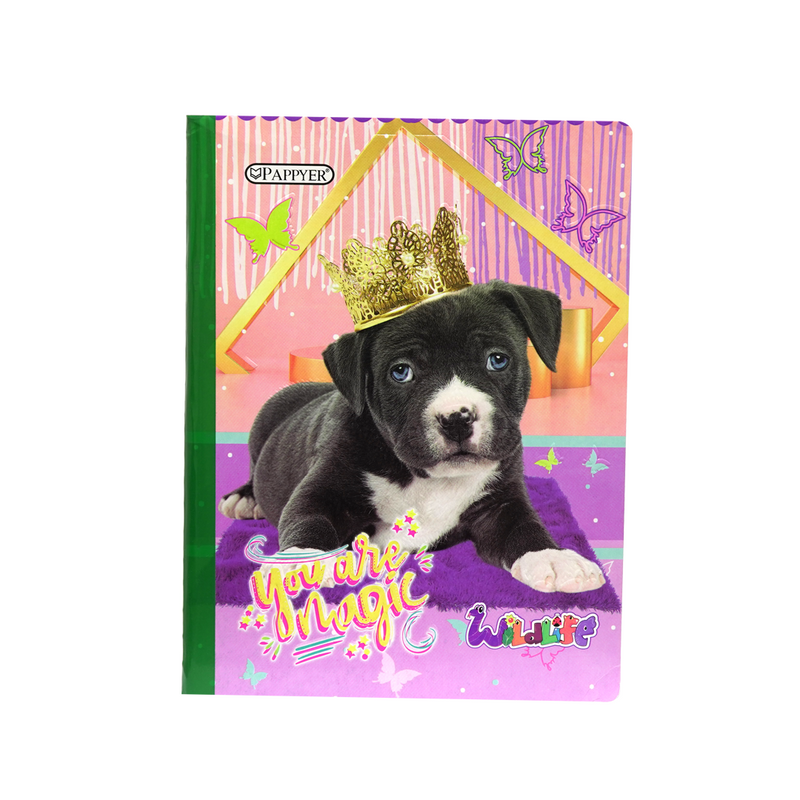 Cuadernos Scribe (7497250210020)