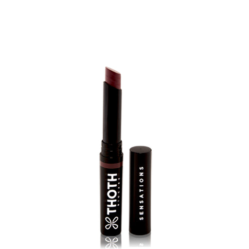 Lipstick Long Lasting SemiMatte Inspire (6140560572602)